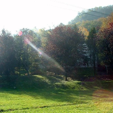 Vadregeny Panzio Esztergom Exterior photo